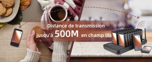 Comment les TD173 facilitent-ils la restauration ? doloremque