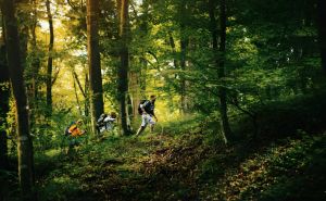 Nouveaux partenaires pour l'exploration forestière - Matériel pour Visite Guidée doloremque