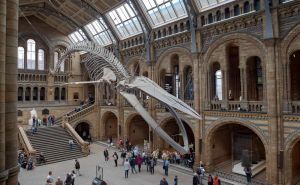 Amélioration de l'Expérience Musées avec le Système Audio pour Visite Guidée Retekess tt127 doloremque